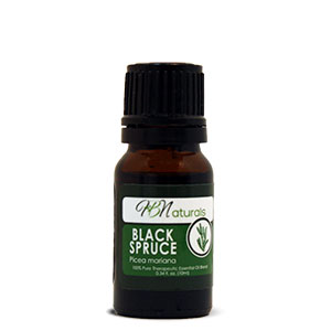 Black Spruce Essential Oil