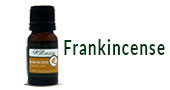 Frankincense Essential Oil