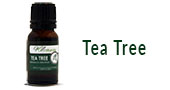 Tea Tree Essential Oil