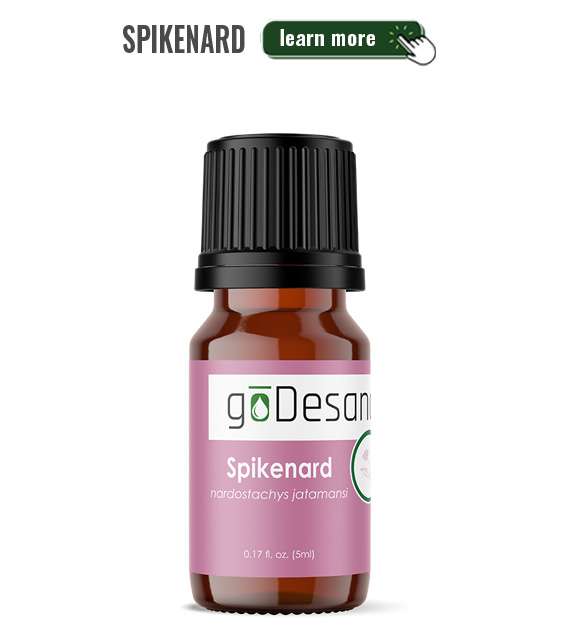 Spikenard