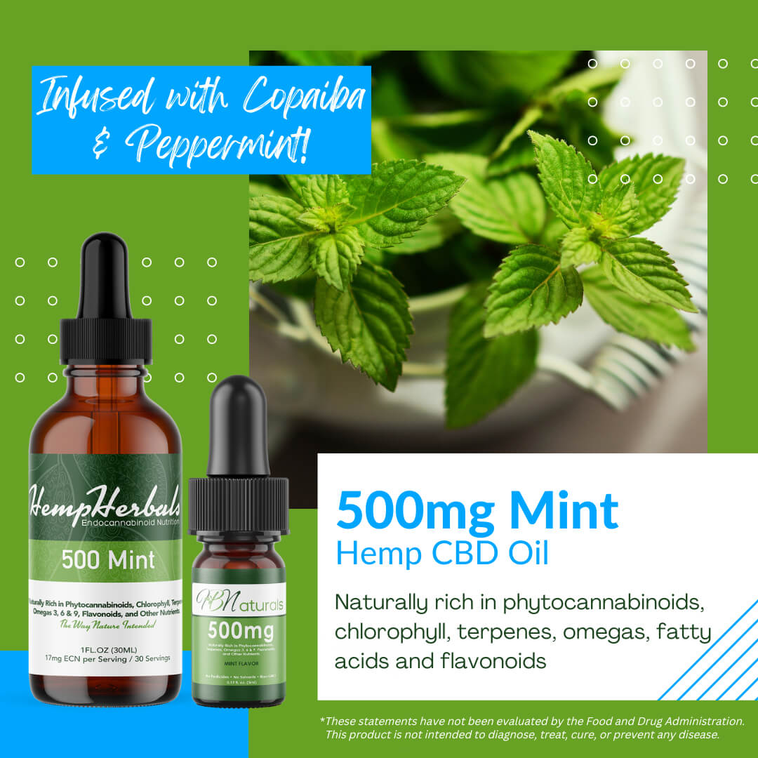 500mg Mint Hemp CBD Oil