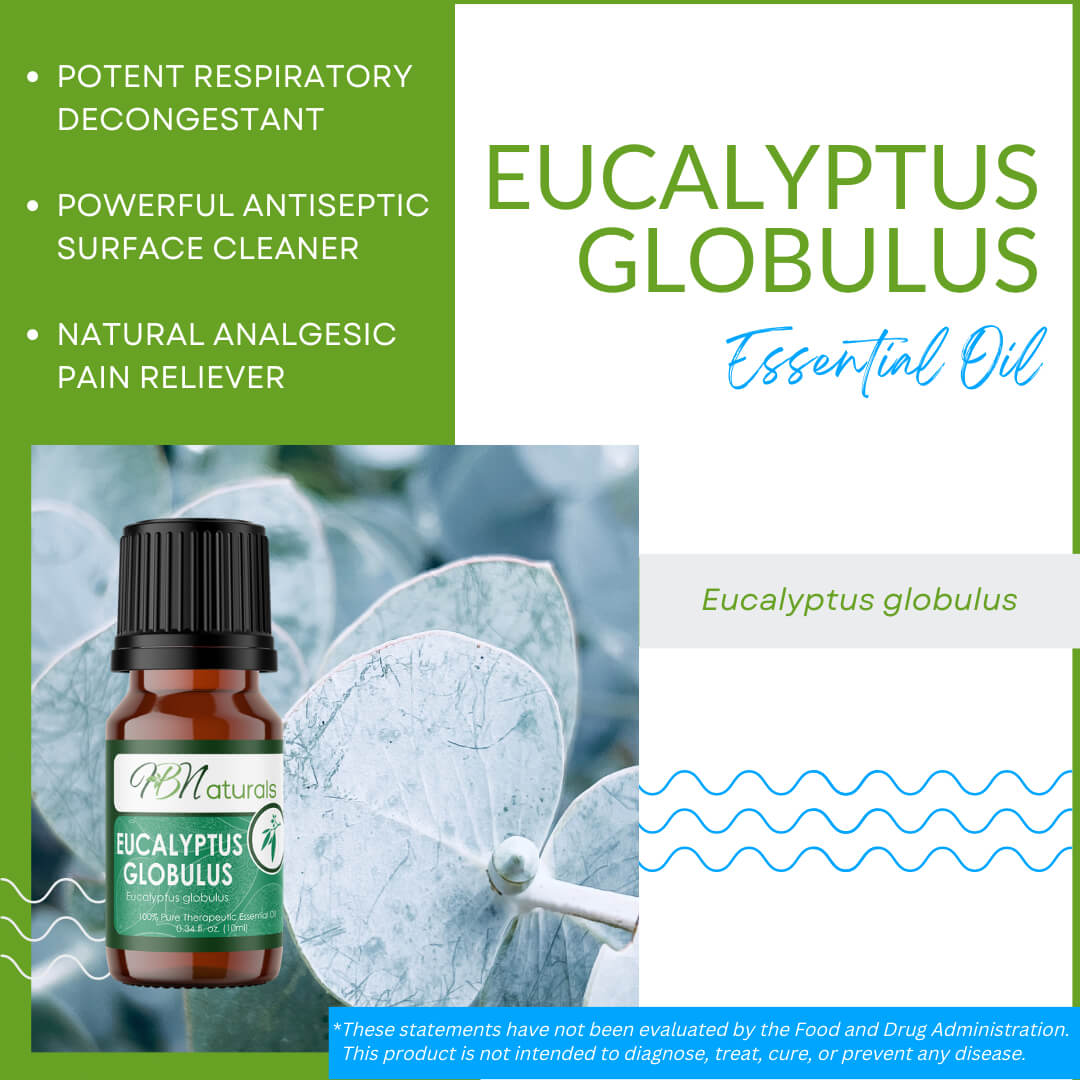 Eucalyptus Globulus Essential Oil