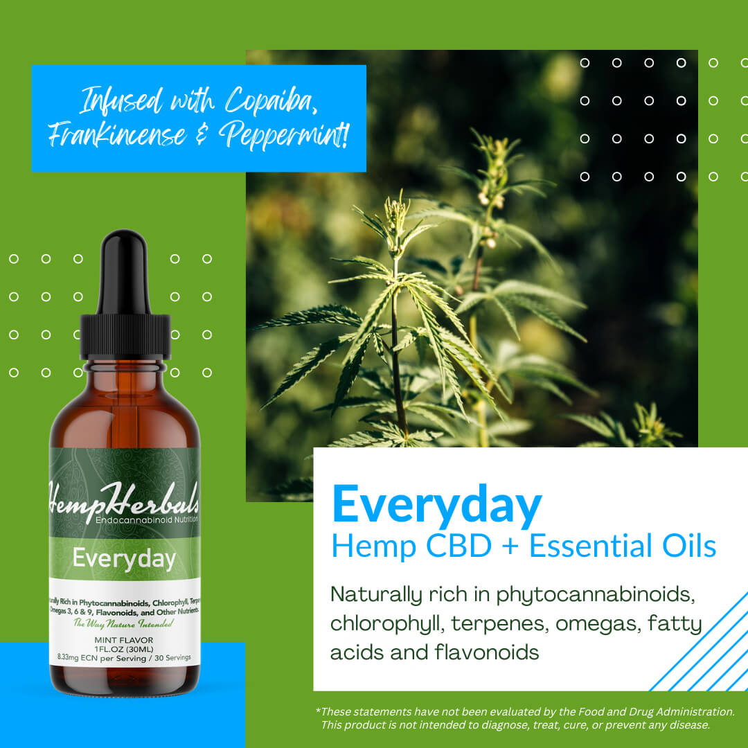 Everyday Hemp CBD Oil