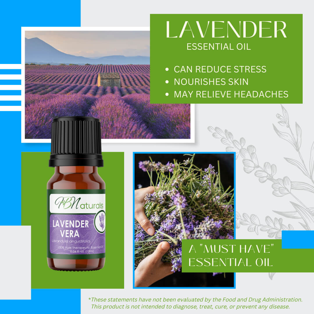 Lavender Vera Essential Oil