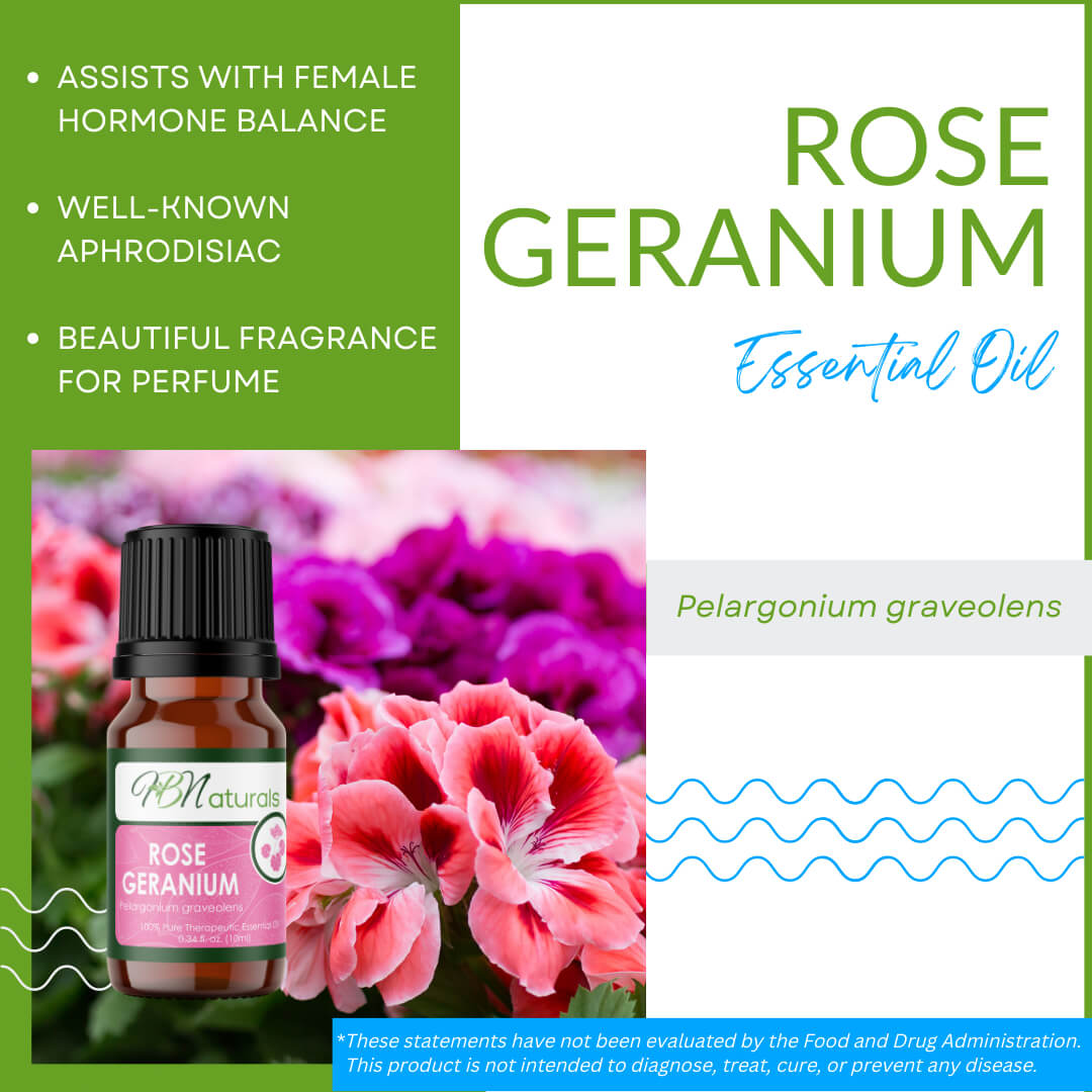 Rose Geranium Essential Oil