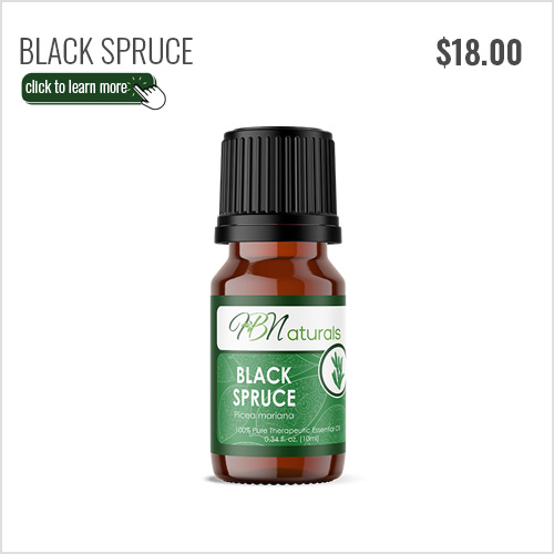 Black Spruce