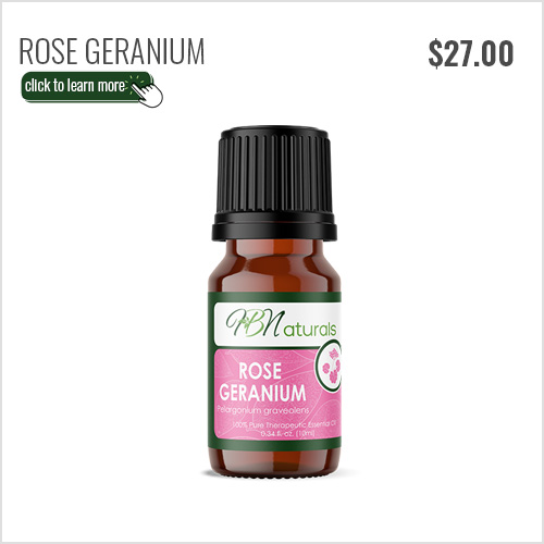 Rose Geranium